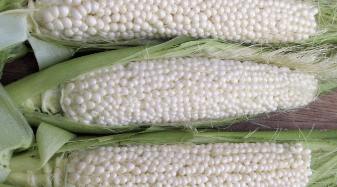 Country Gentleman (Shoepeg) Sweet Corn